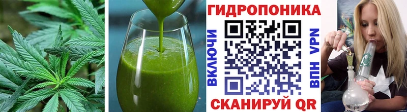 где найти наркотики  Усть-Илимск  блэк спрут ONION  Cannafood марихуана 