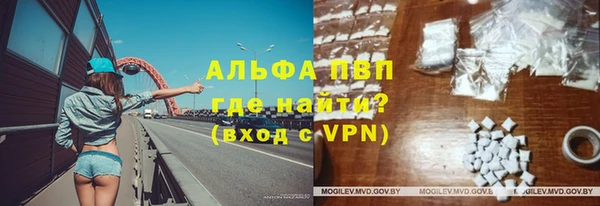 крисы Губаха